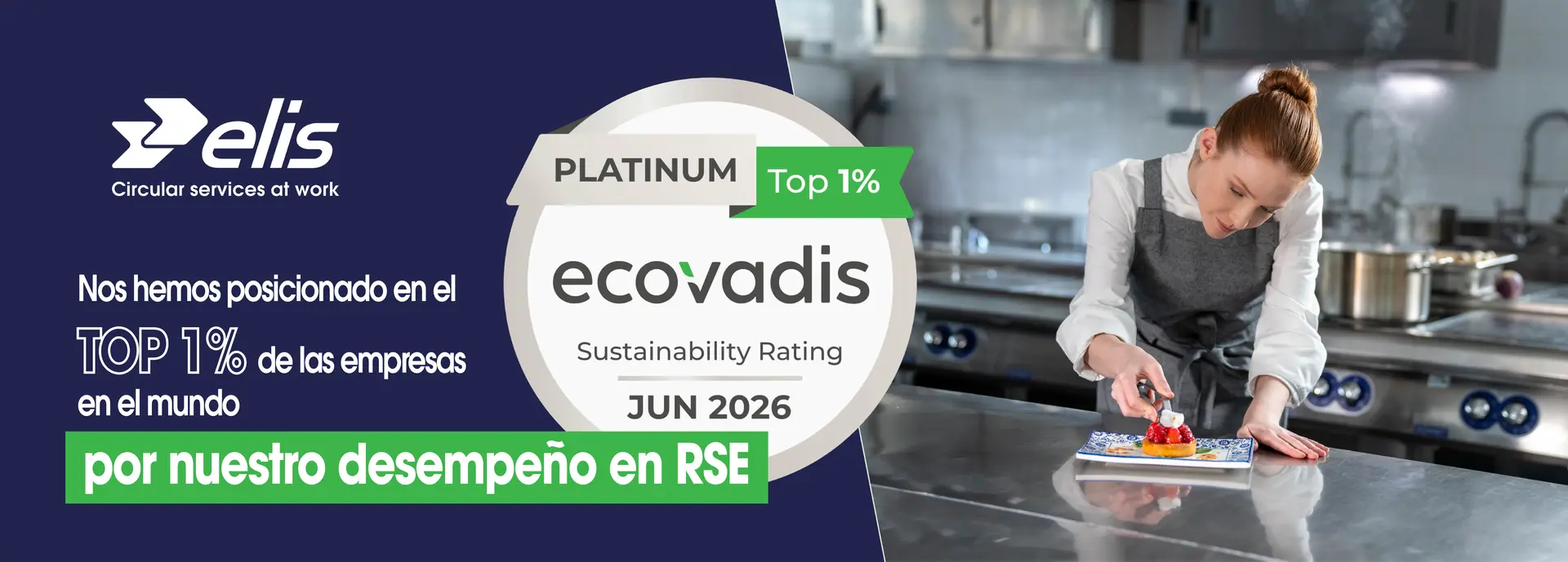 Ecovadis espanol